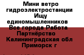 Мини ветро-гидроэлектростанции. Ищу единомышленников. - Все города Работа » Партнёрство   . Калининградская обл.,Приморск г.